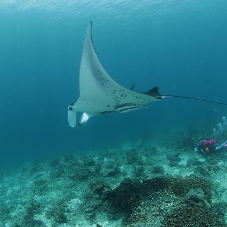 Coriana Dive Resort Waisai Luaran gambar